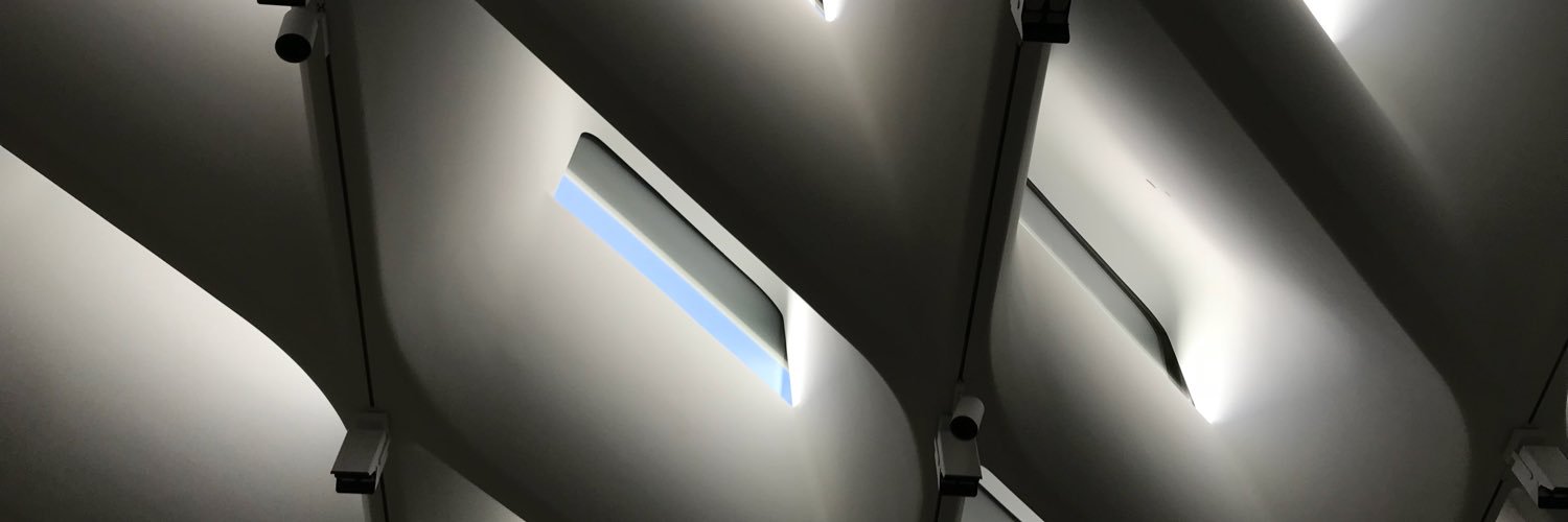 Burçin Becerik-Gerber banner