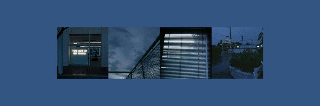 F.Xen🐻 banner