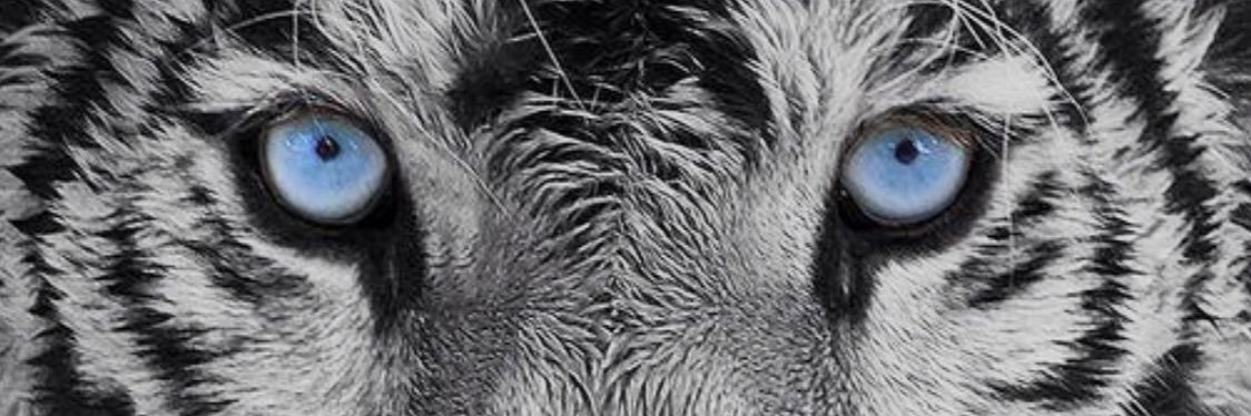 harmohan753's profile banner image