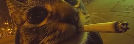 potatober's profile banner image