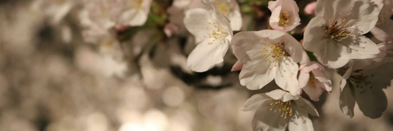 カメラ女の伊藤@繁忙期中 banner