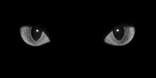 deritriyoga's profile banner image