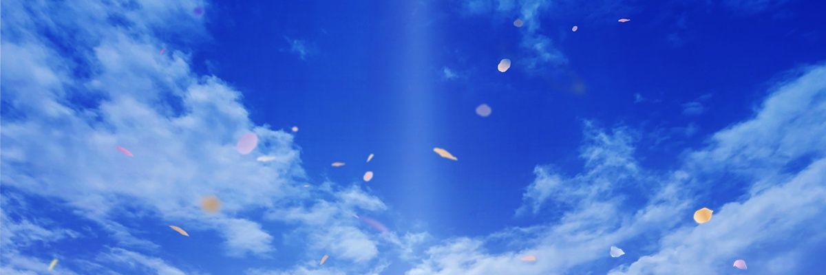 自販機🐯 banner