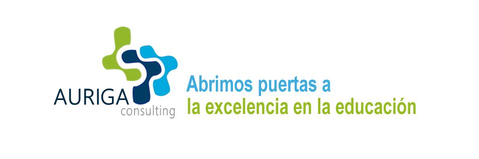 Auriga Consulting banner