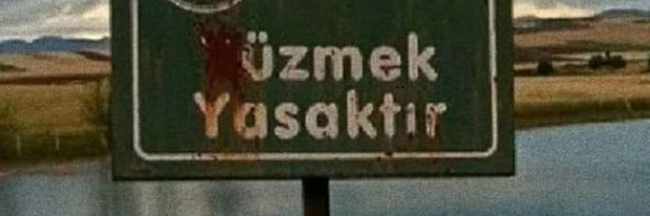kimenedesinki's profile banner image