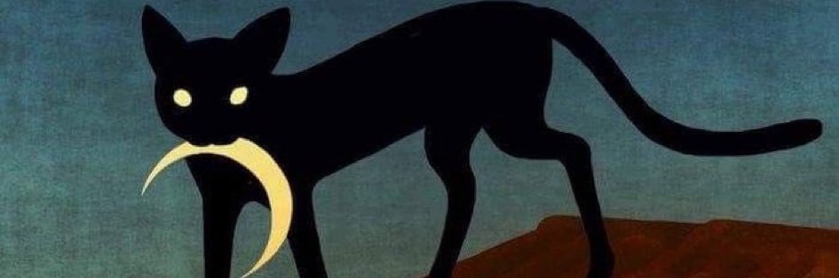 verartemar's profile banner image