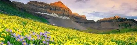 AnkitDa24078473's profile banner image