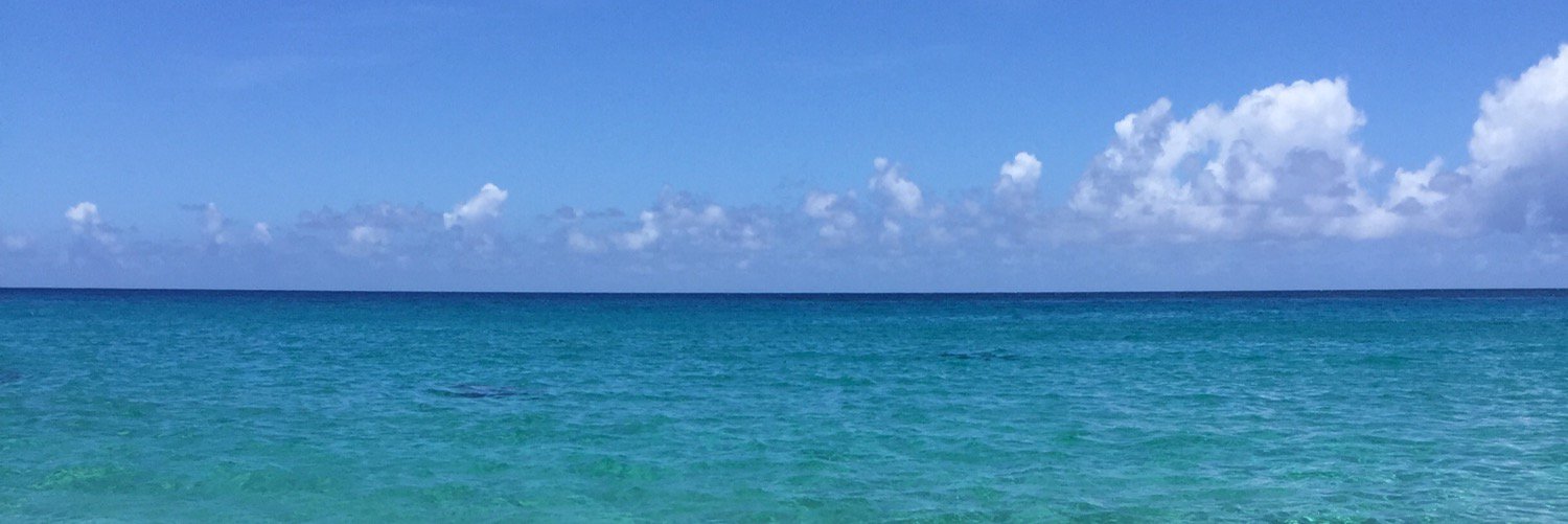 michoooonn's profile banner image