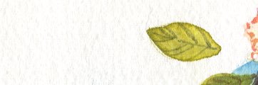 SUKON🌷 banner