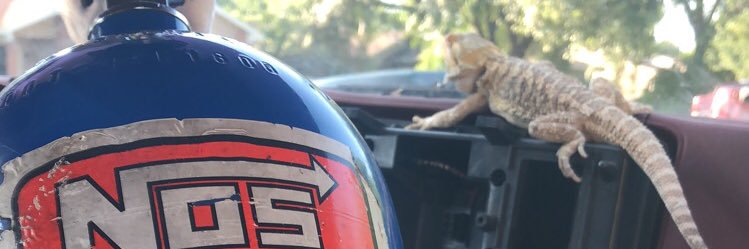 rxmexicoo's profile banner image