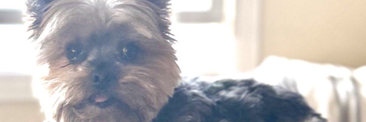 cjames2017's profile banner image