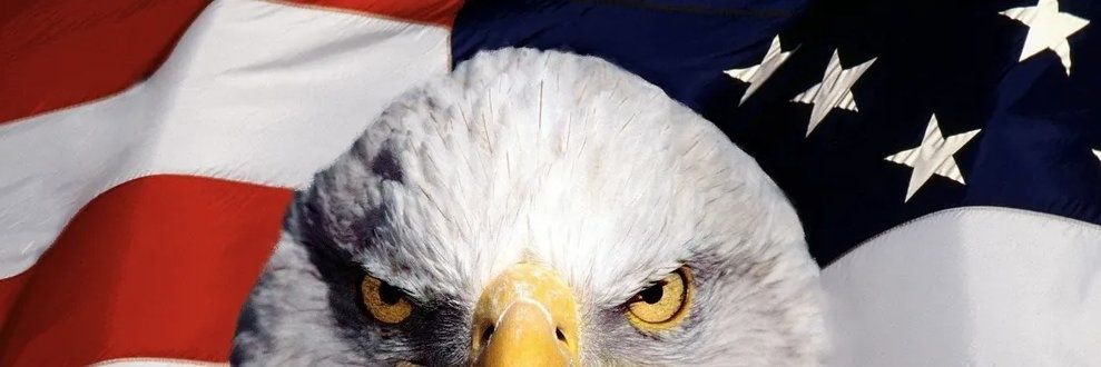 우담바라(UDBA)🇰🇷🇺🇸🇯🇵🇮🇱 banner