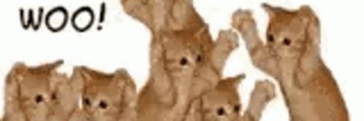 rrenata_a's profile banner image