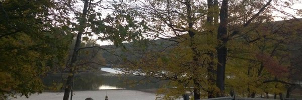 StaceyLynch82 Profile Banner