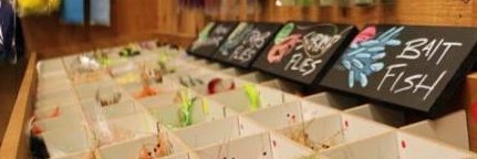 Southern Drawl Outfitters banner