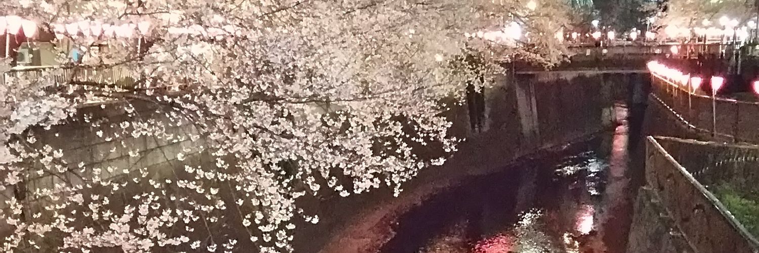 凡夫ステップジャンプ banner