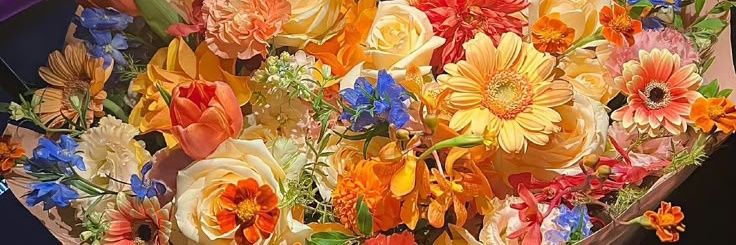 moo𖠌ִֶָ banner