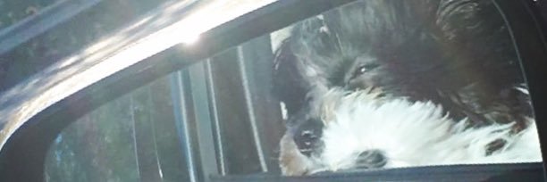 LizzzIsMe's profile banner image