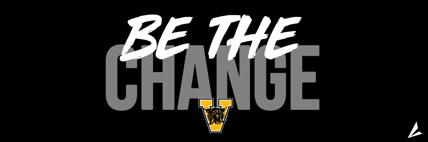 Valdosta Wildcats Baseball banner