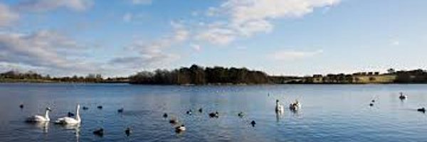 SevenLochs Profile Banner