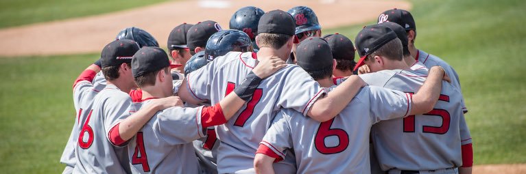 Albany Academy Baseball banner
