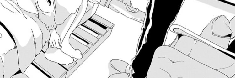 sepiidae's profile banner image