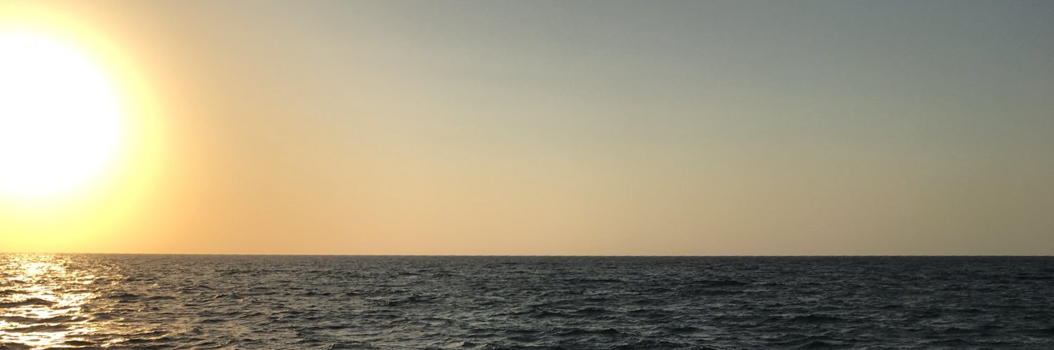 Maan Jamjoom banner