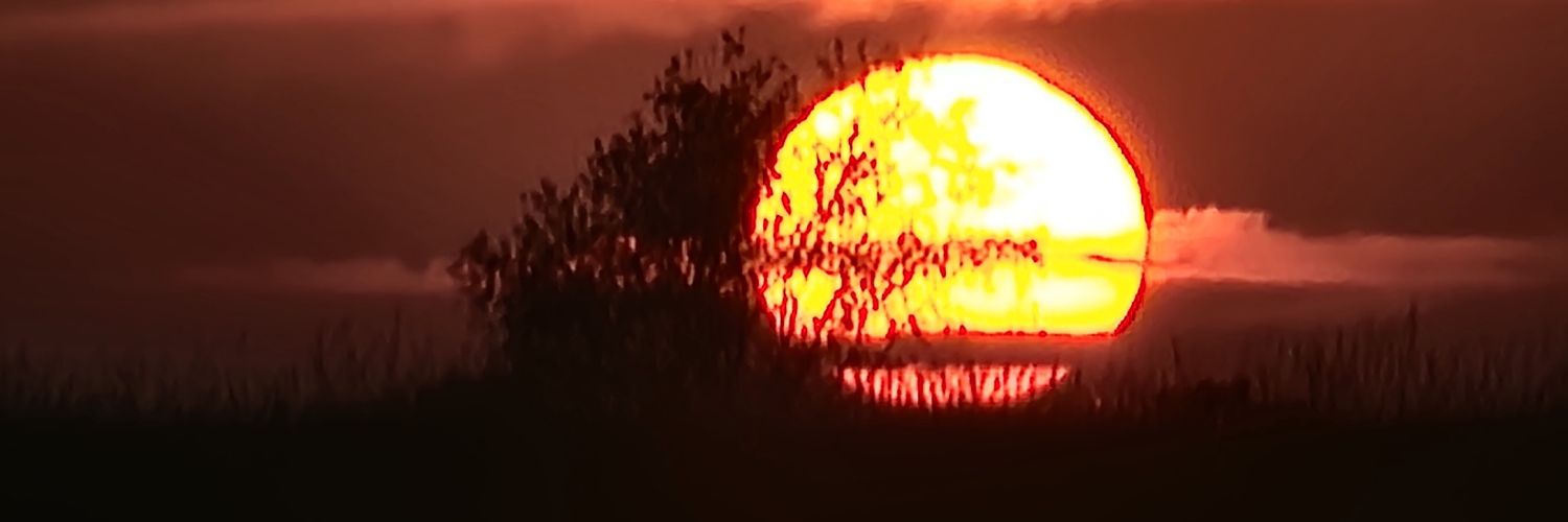 Sunbro74's profile banner image