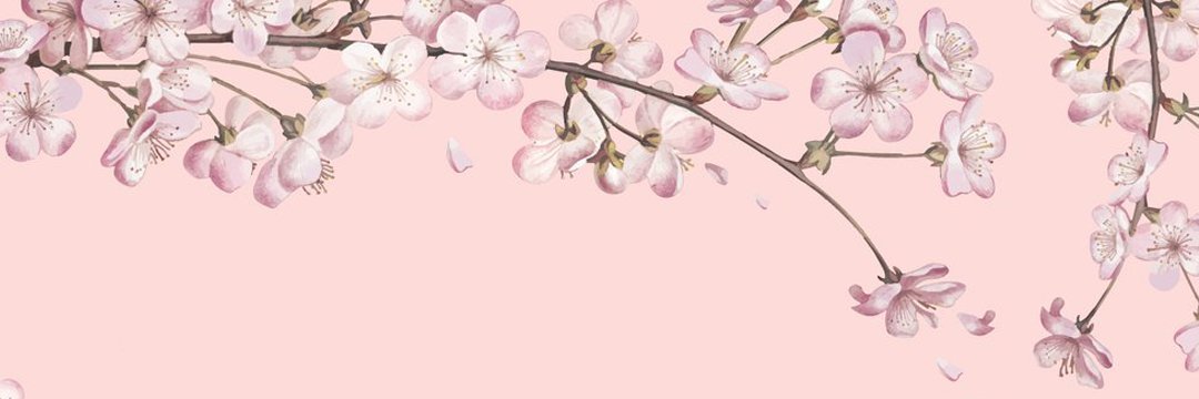 TeaTimeinDublin's profile banner image