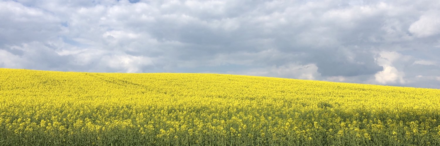 allesgucker's profile banner image