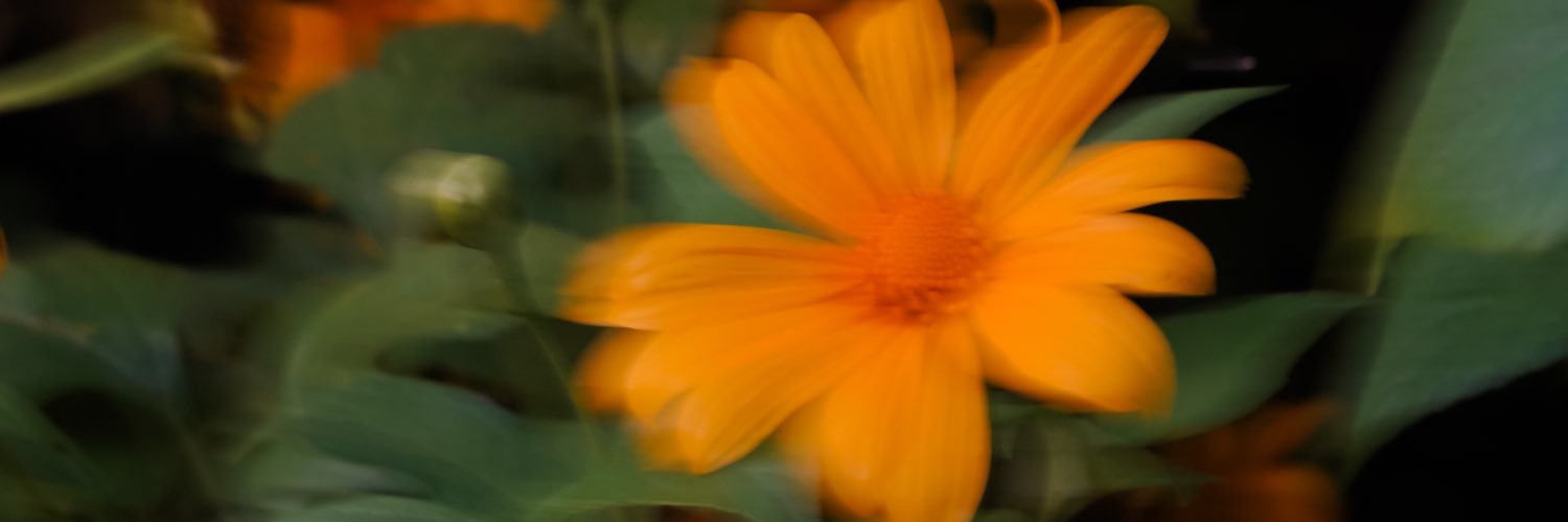 _bachtiar banner