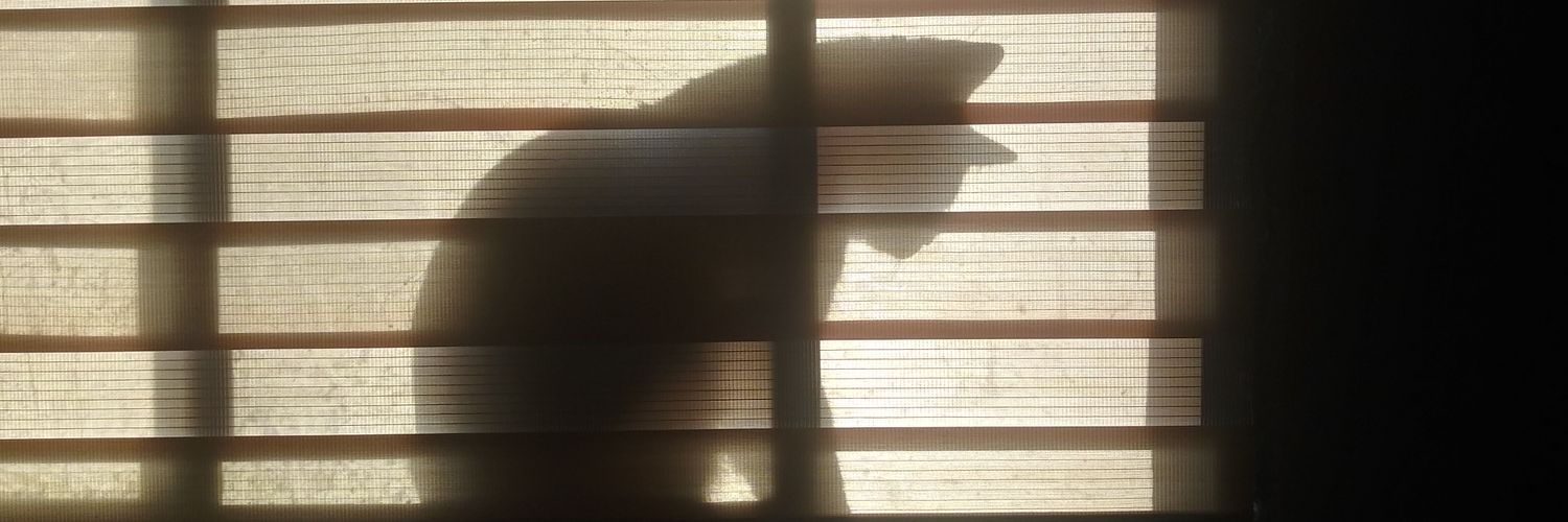 Cat Slave banner