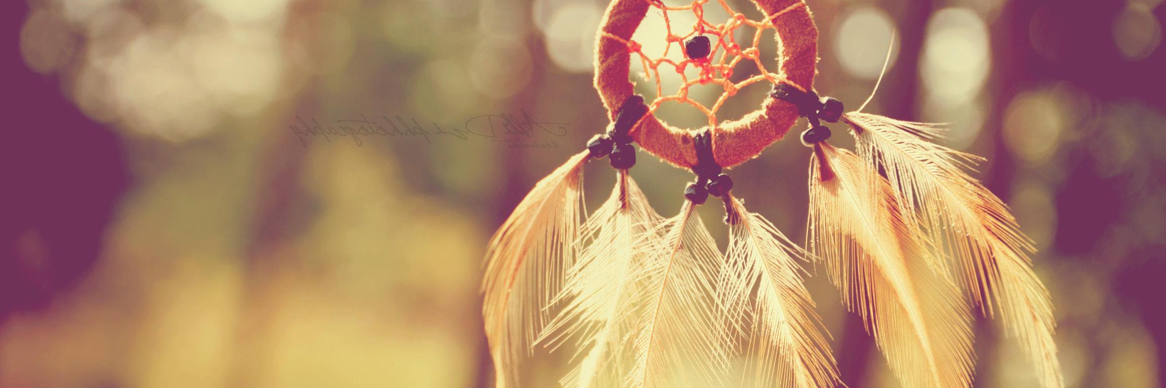 monicaevlyn's profile banner image