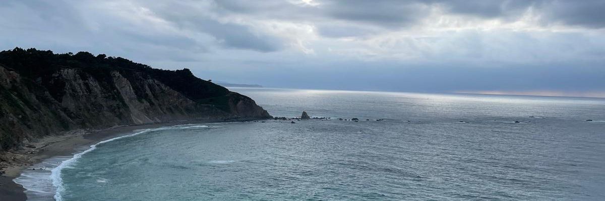 Lucia de castro banner