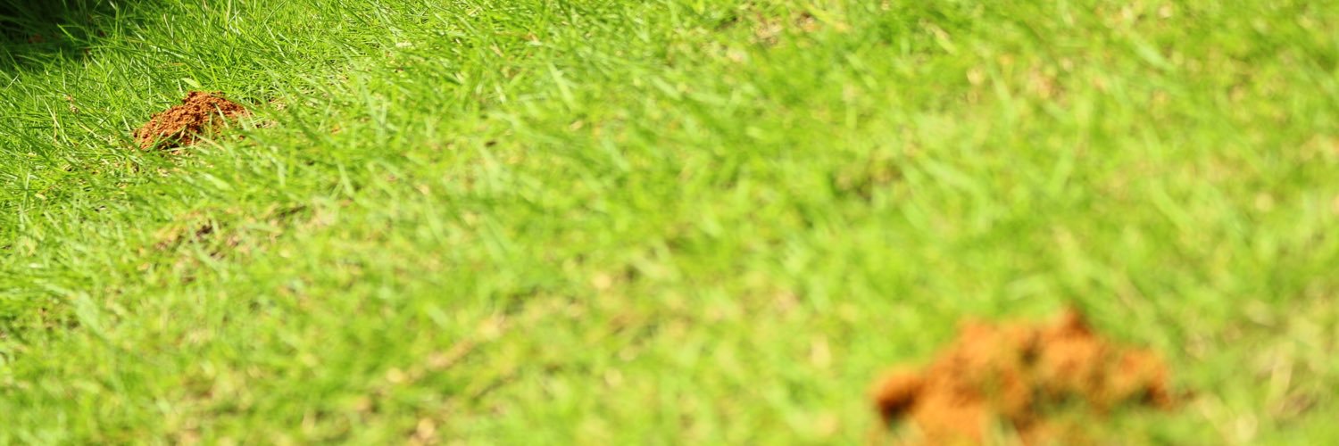 kaz2375's profile banner image