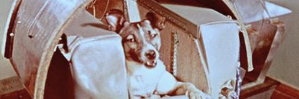 _JeremyHintz's profile banner image