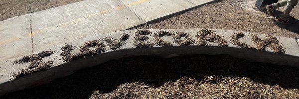 _yazmin_12 Profile Banner