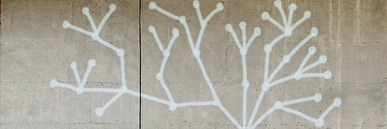 Ravi Beegun banner