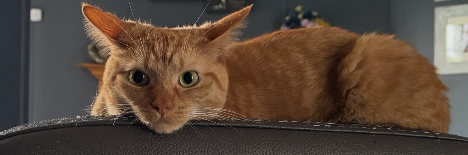 Baconcrunchwrap banner