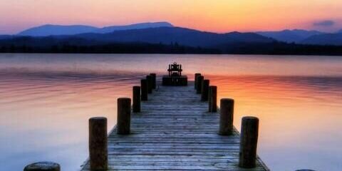 Laura Samudio banner