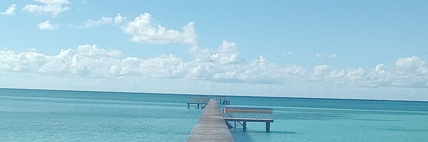 bmoldenhauer_wi's profile banner image