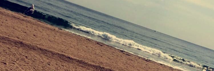 mapley_12's profile banner image