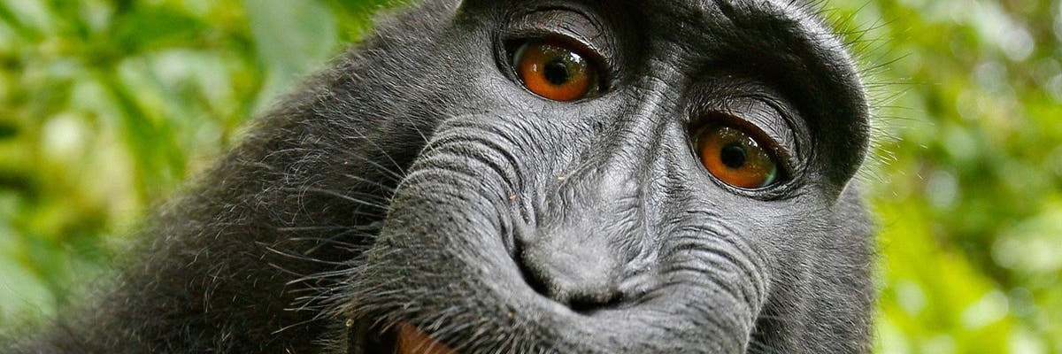 karthokay's profile banner image