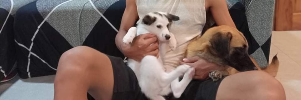 Azziling | ROG👑 banner