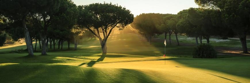 RMGolfCarts's profile banner image