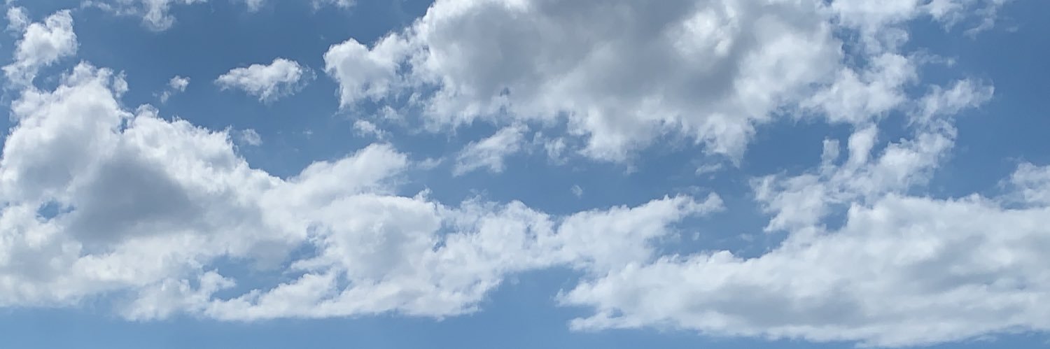 protwitteiro's profile banner image