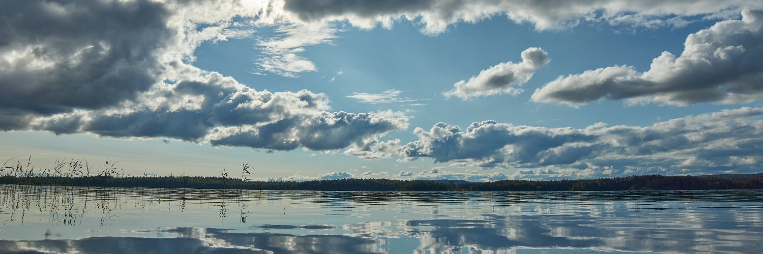 Stephanie Olmo banner