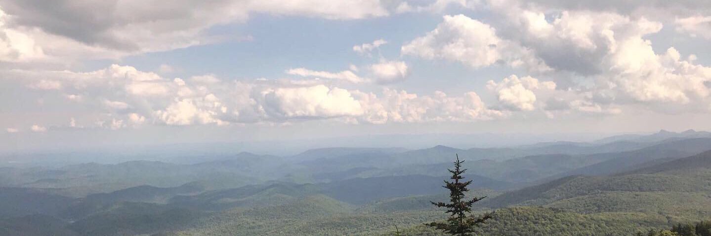 taylorrena13's profile banner image