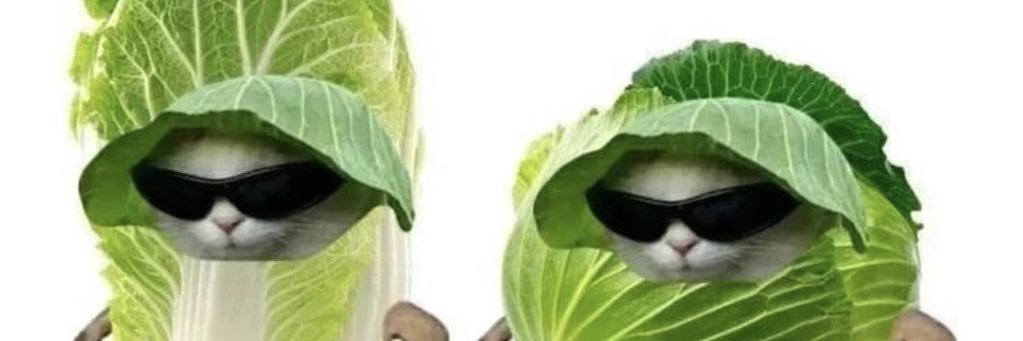 adrianooizr's profile banner image