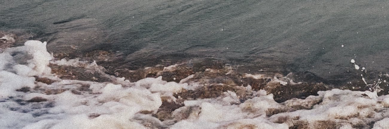reshaevy's profile banner image